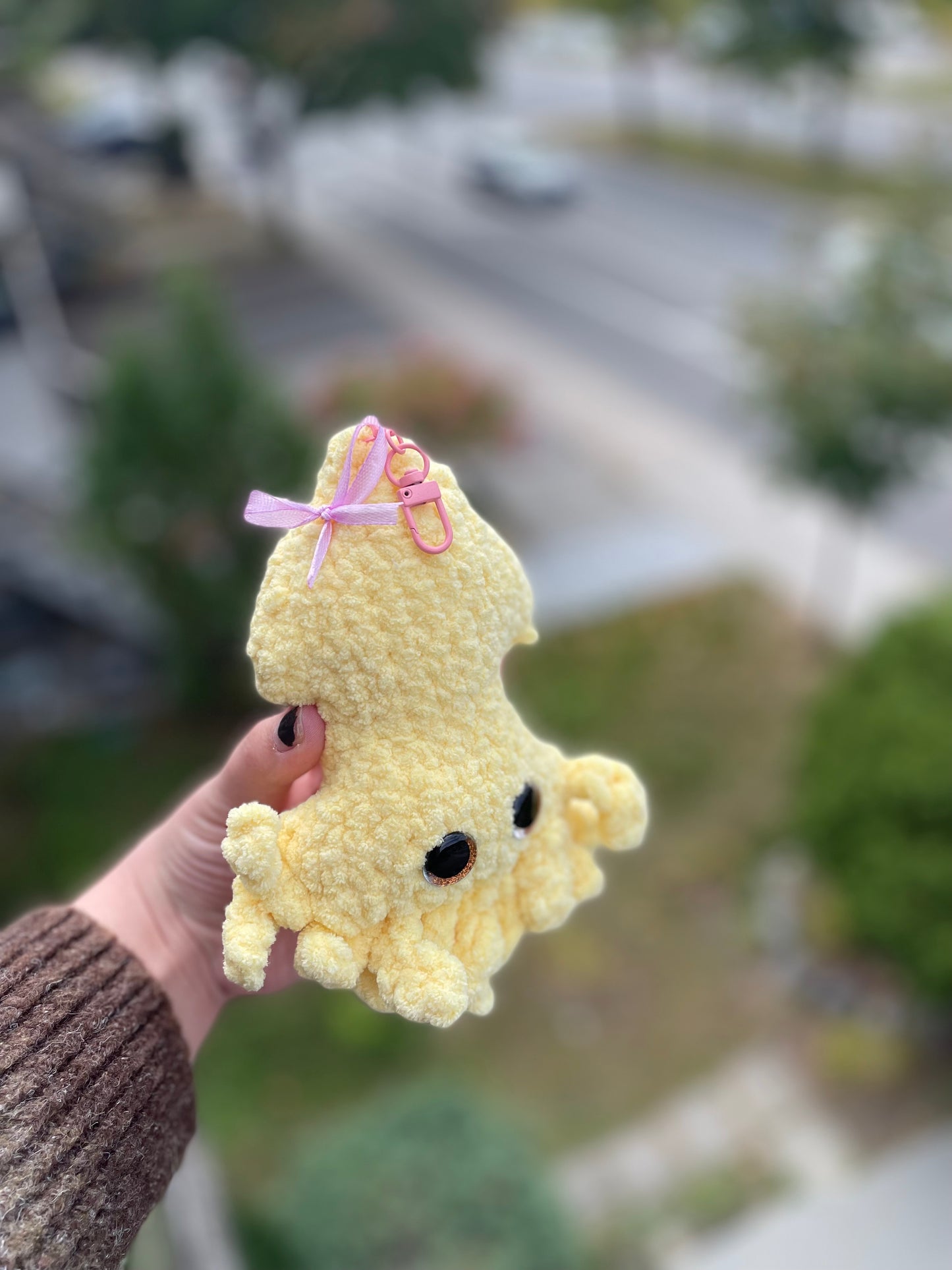 Yellow coquette squid