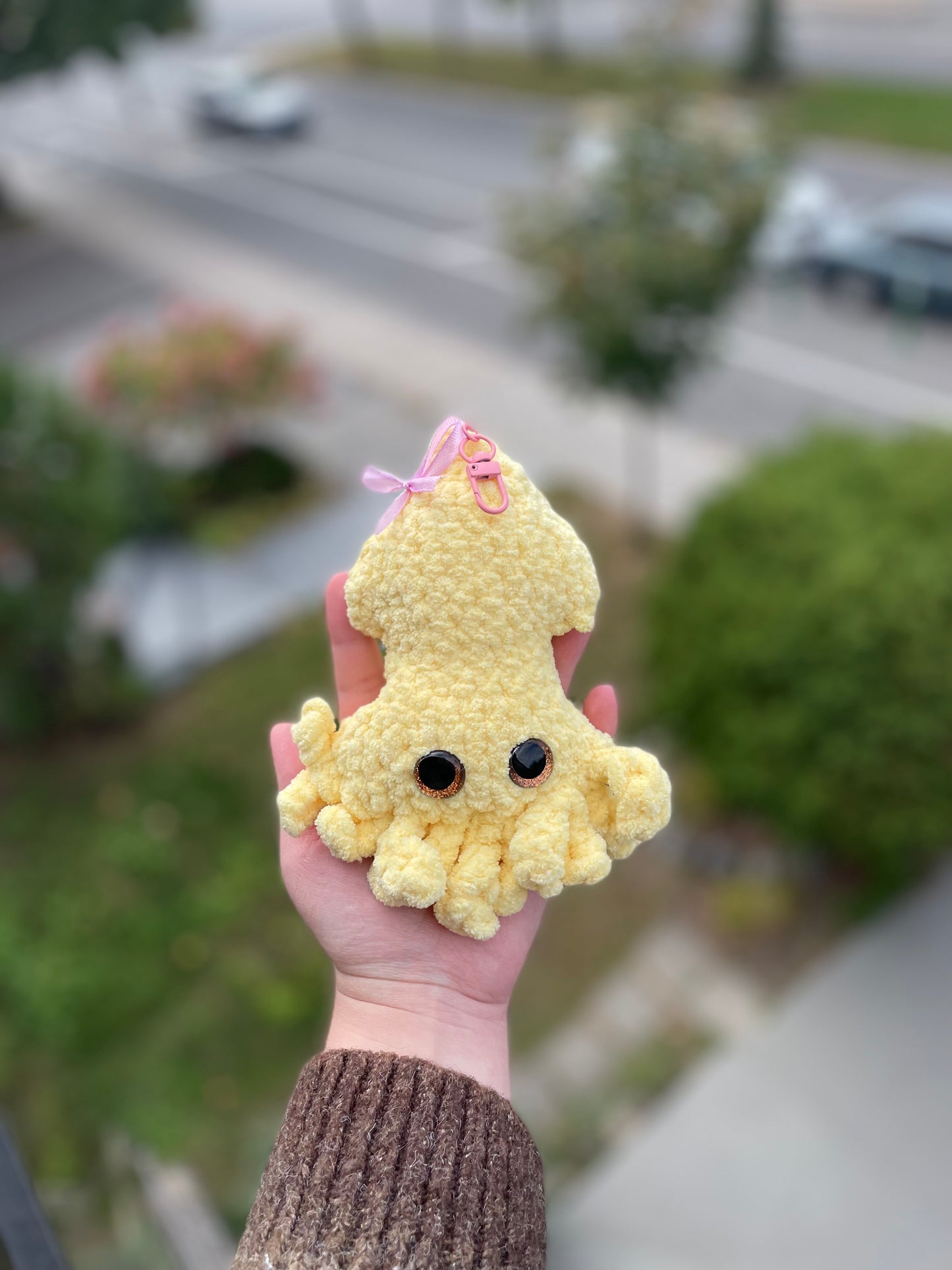 Yellow coquette squid